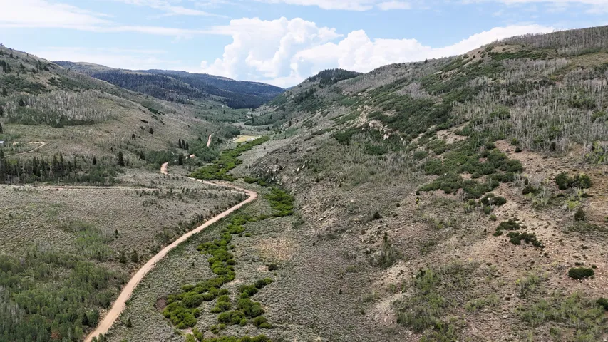 Winding dirt road traversing a verdant mountain valley surrounded by varied tree cover and natural vegetation