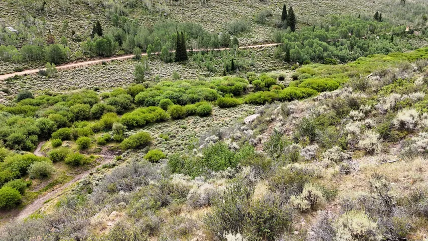 Expansive natural landscape with varied foliage, including lush green shrubs and lighter-toned brush, traversed by a winding dirt path