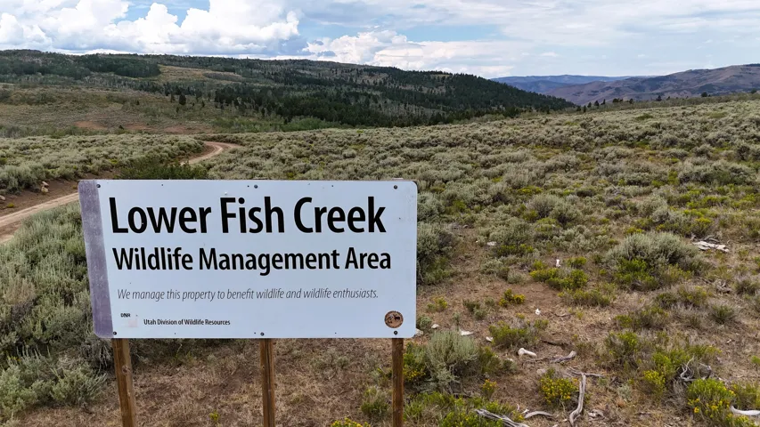 Expansive landscape featuring a "Lower Fish Creek Wildlife Management Area" sign, rolling hills, and a winding dirt road