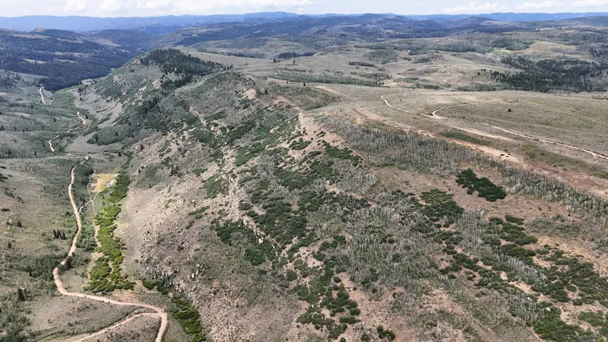 Expansive mountainous terrain featuring diverse vegetation and winding dirt roads