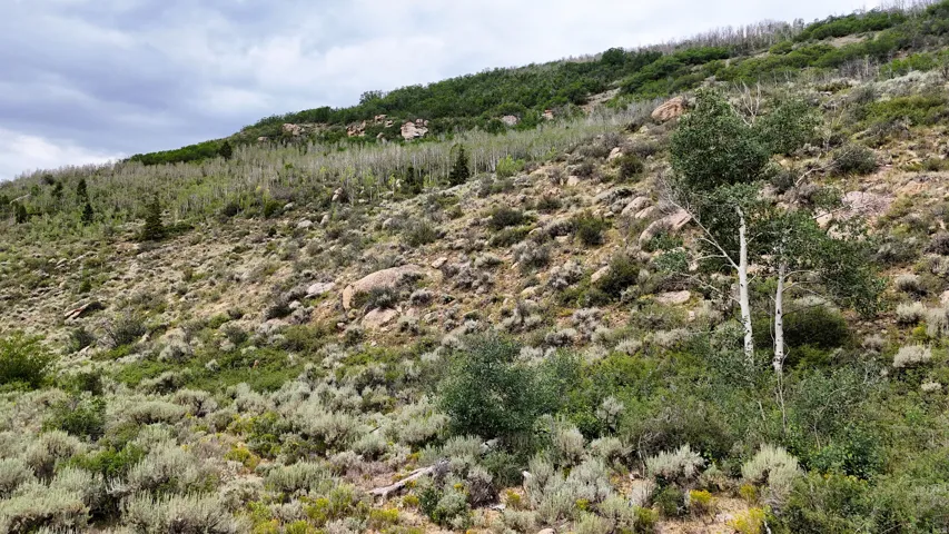 Mountainous terrain featuring diverse vegetation, including evergreen and deciduous trees, with visible rock formations and natural shrubbery