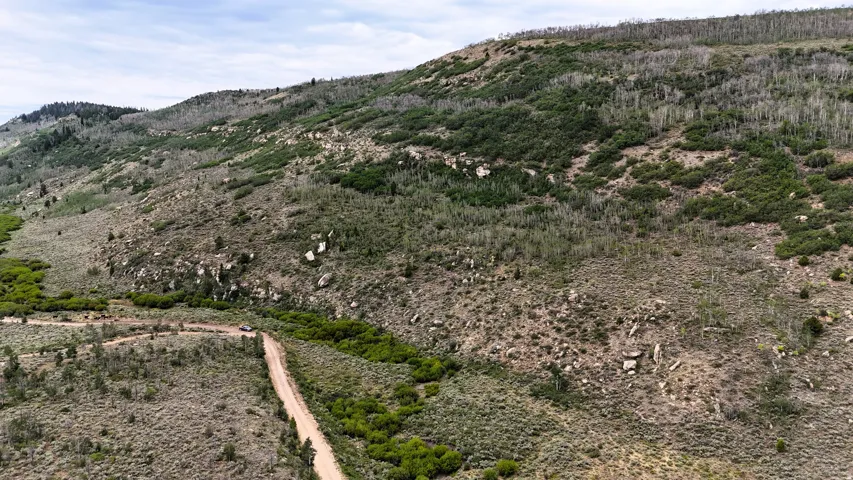 Winding dirt road traversing expansive, undeveloped terrain