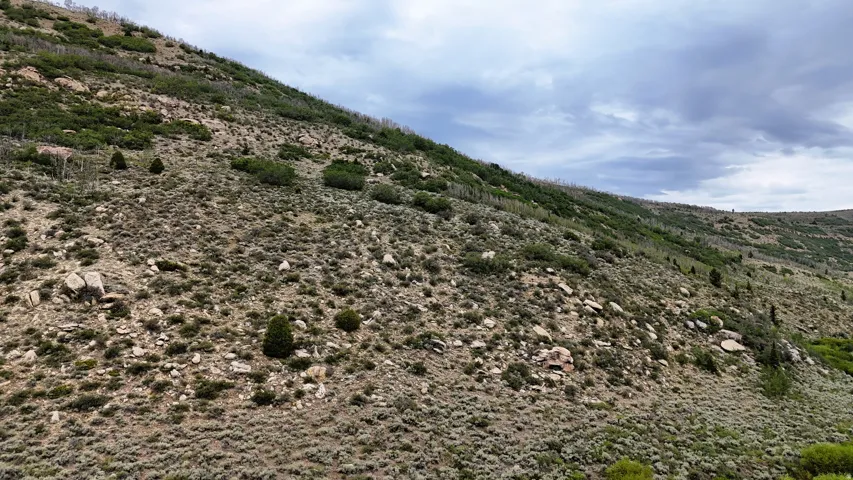 Expansive sloped terrain featuring natural rock formations and diverse vegetation, including low-lying brush, scattered evergreens, and distant deciduous trees