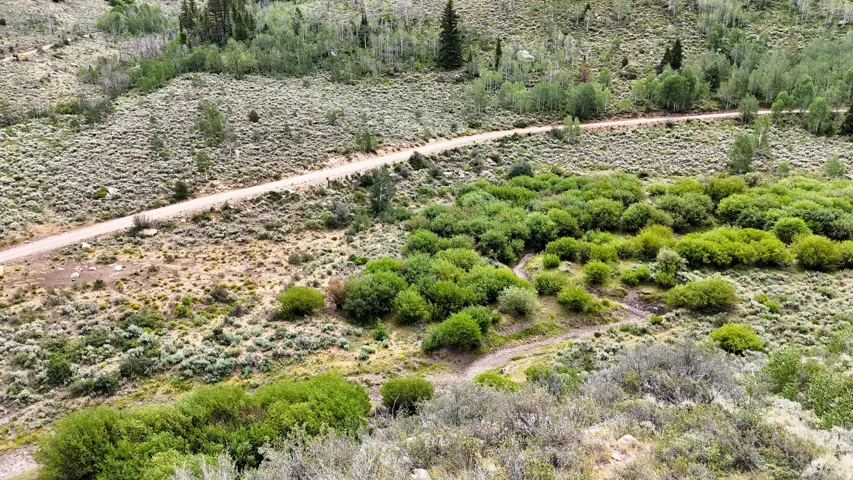 Expansive rugged terrain featuring a winding dirt road and diverse natural vegetation