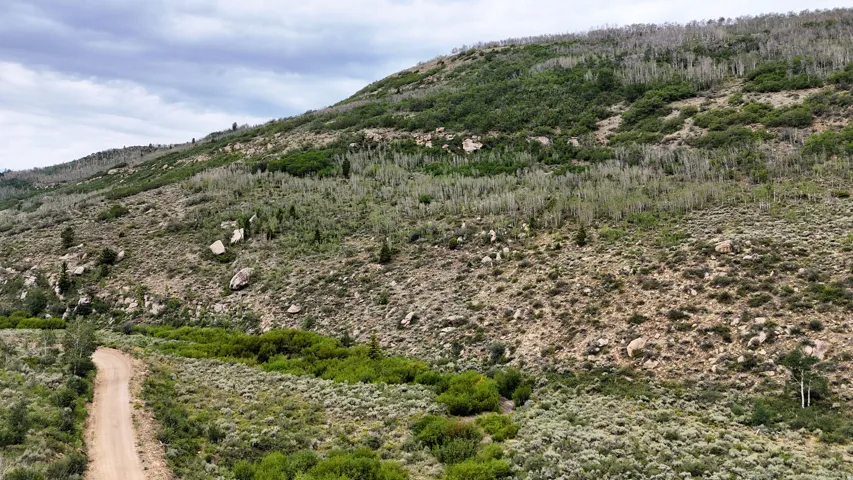 Expansive mountain terrain featuring a winding dirt road, diverse natural vegetation, scattered rock formations, and mature trees on rolling slopes