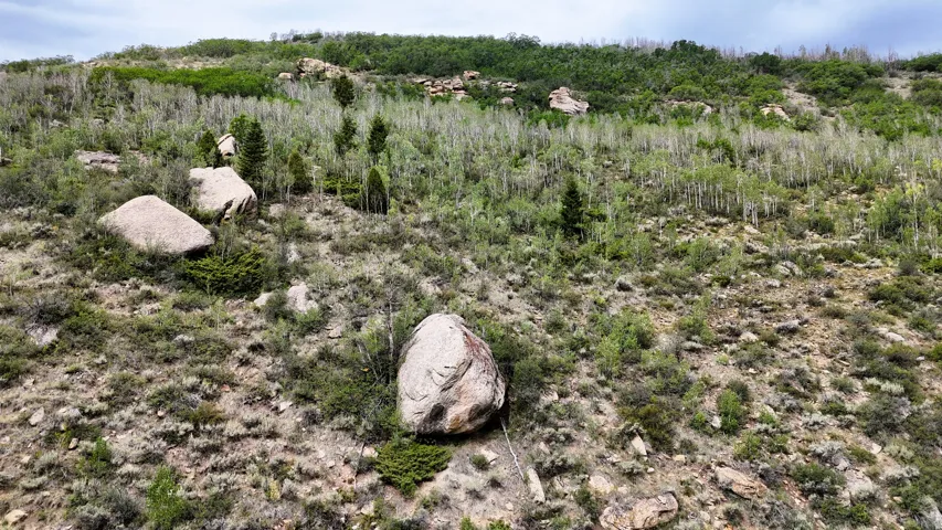Sloping terrain featuring exposed rock formations and varied vegetation
