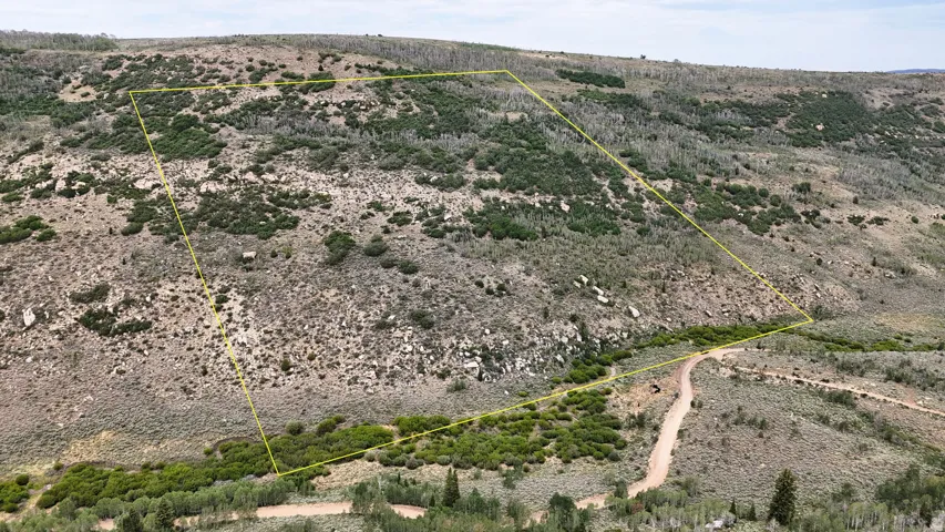 Expansive hillside property featuring diverse natural vegetation, rugged terrain, scattered rock formations, and a visible dirt access road