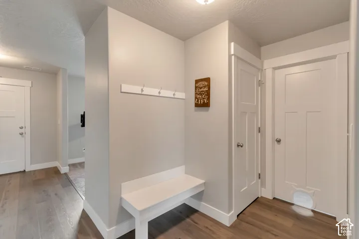 Entryway with wood-finish flooring, light gray walls, and white trim