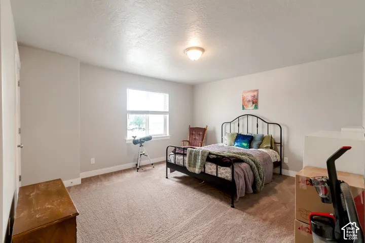 Carpeted interior space featuring a window with white blinds, neutral wall paint, and a ceiling-mounted light fixture
