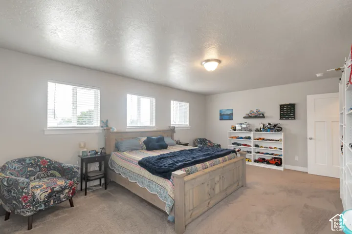 Spacious room featuring multiple windows with blinds, a ceiling-mounted light fixture, and broadloom carpeting