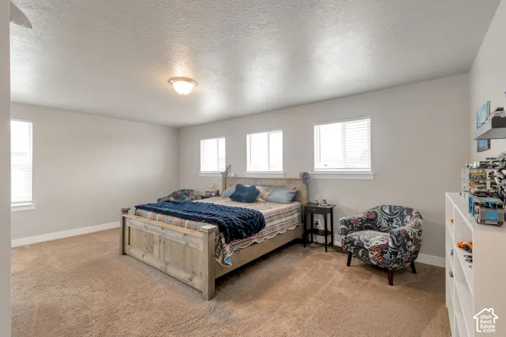 Spacious room featuring neutral wall paint, textured ceiling, brown carpeting, and multiple windows with blinds