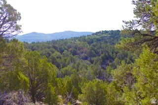 Expansive natural landscape with significant tree coverage and distant mountain ranges