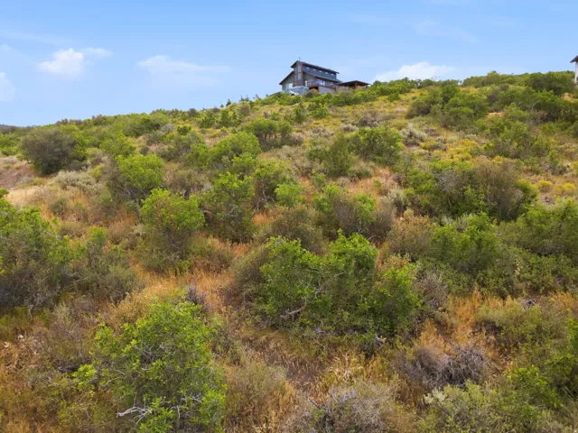 Hillside property featuring natural terrain and distant structures