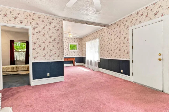 Room featuring a ceiling fan, floral wallpaper, dark blue wainscoting, and pink carpet