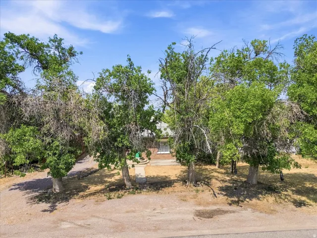 Mature trees line the property