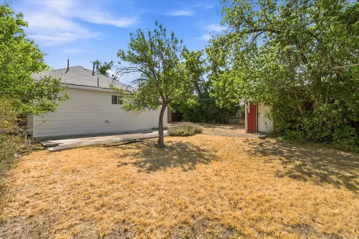 Spacious backyard area featuring a concrete patio, mature trees, and a utility shed with a red exterior