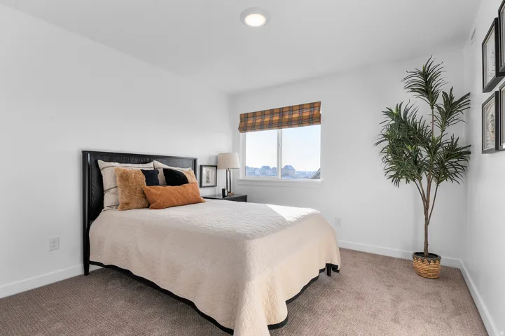 Neutral-toned carpet flooring