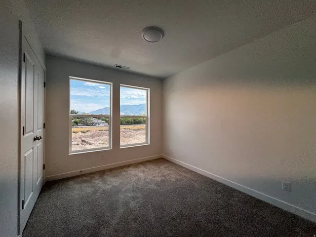 Room featuring two large windows with mountain scenery, neutral-toned carpeting, white baseboards, and a flush-mount ceiling light