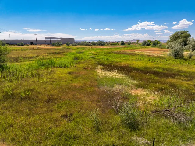 Expansive open land featuring varied natural vegetation under a clear blue sky