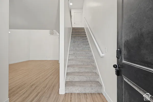 Carpeted stairway with white handrail, wood-finish flooring, and a dark-toned entry door