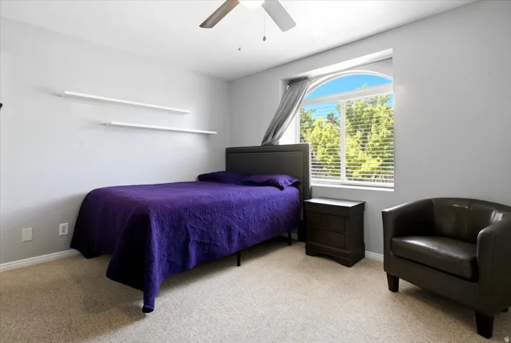 Carpeted room with a ceiling fan, arched window, and two wall-mounted shelves