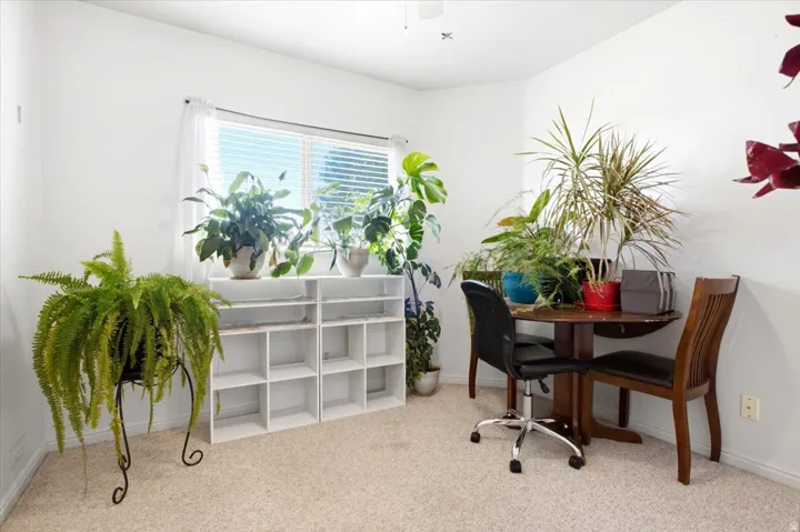 Light-filled room featuring a broad window with blinds, two white shelving units, and neutral-toned carpeting