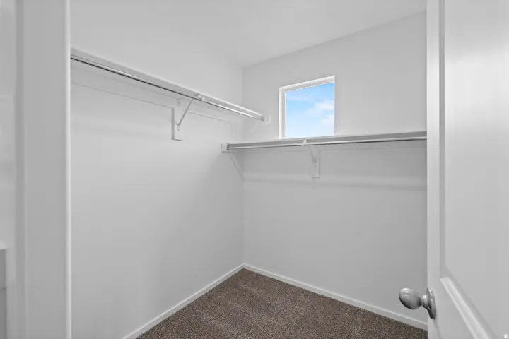 Walk-in closet with carpet flooring, white walls, and a window for natural illumination
