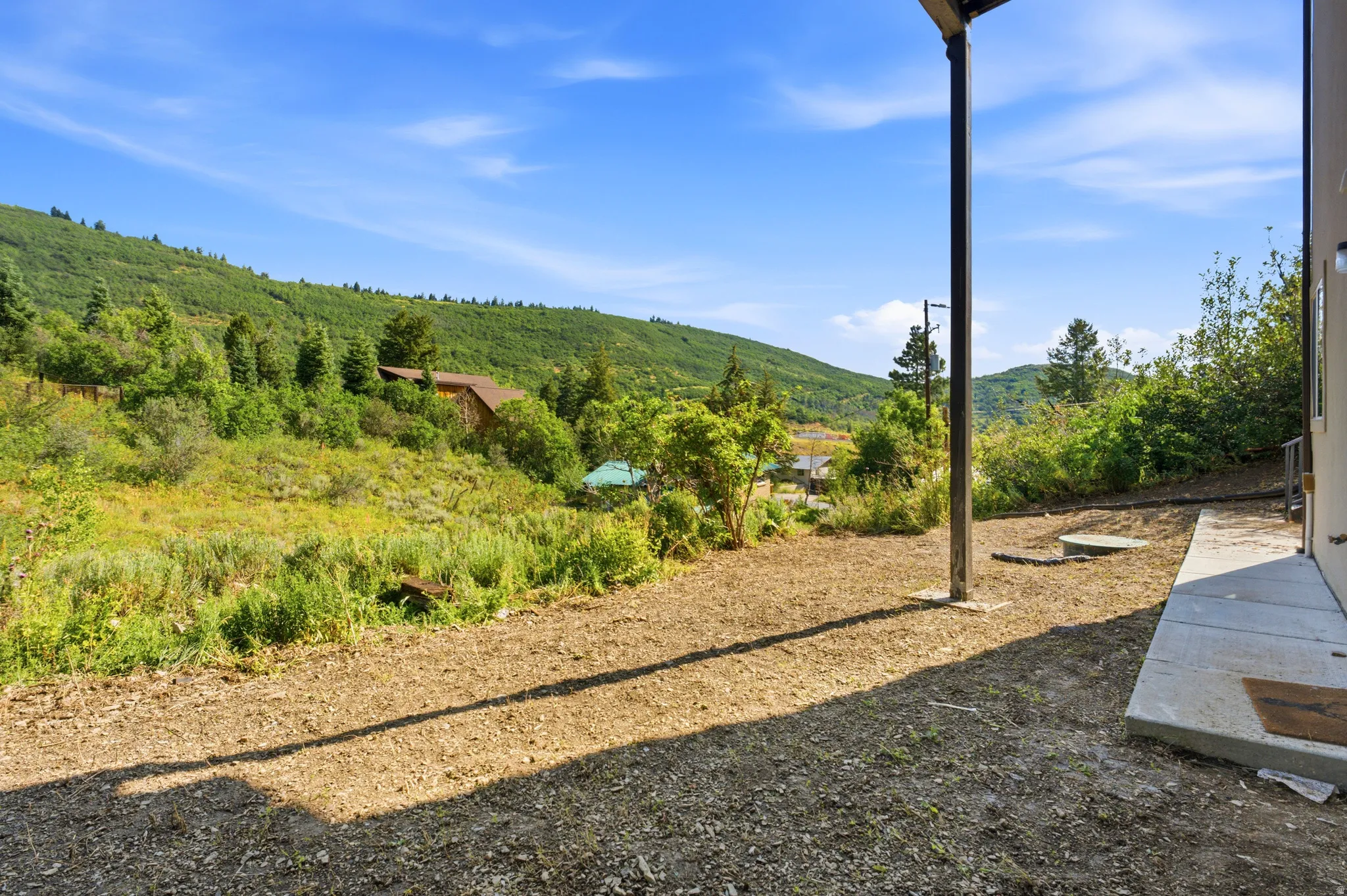 Outdoor living space featuring a concrete patio and a natural, undeveloped hillside