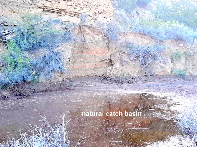 Catch pond.