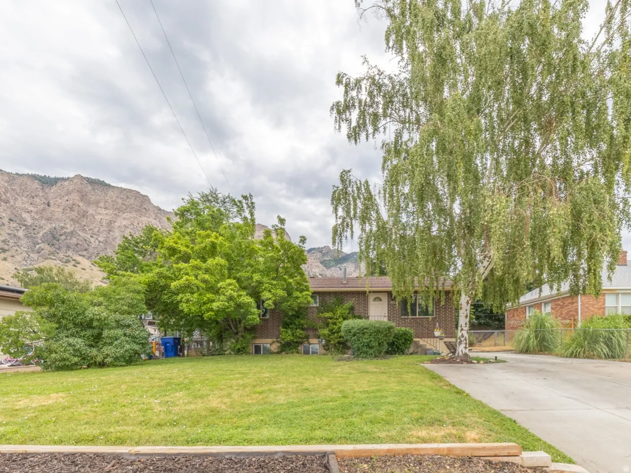 Spacious front yard with mature trees, a long concrete driveway, and a detached garage featuring a white door