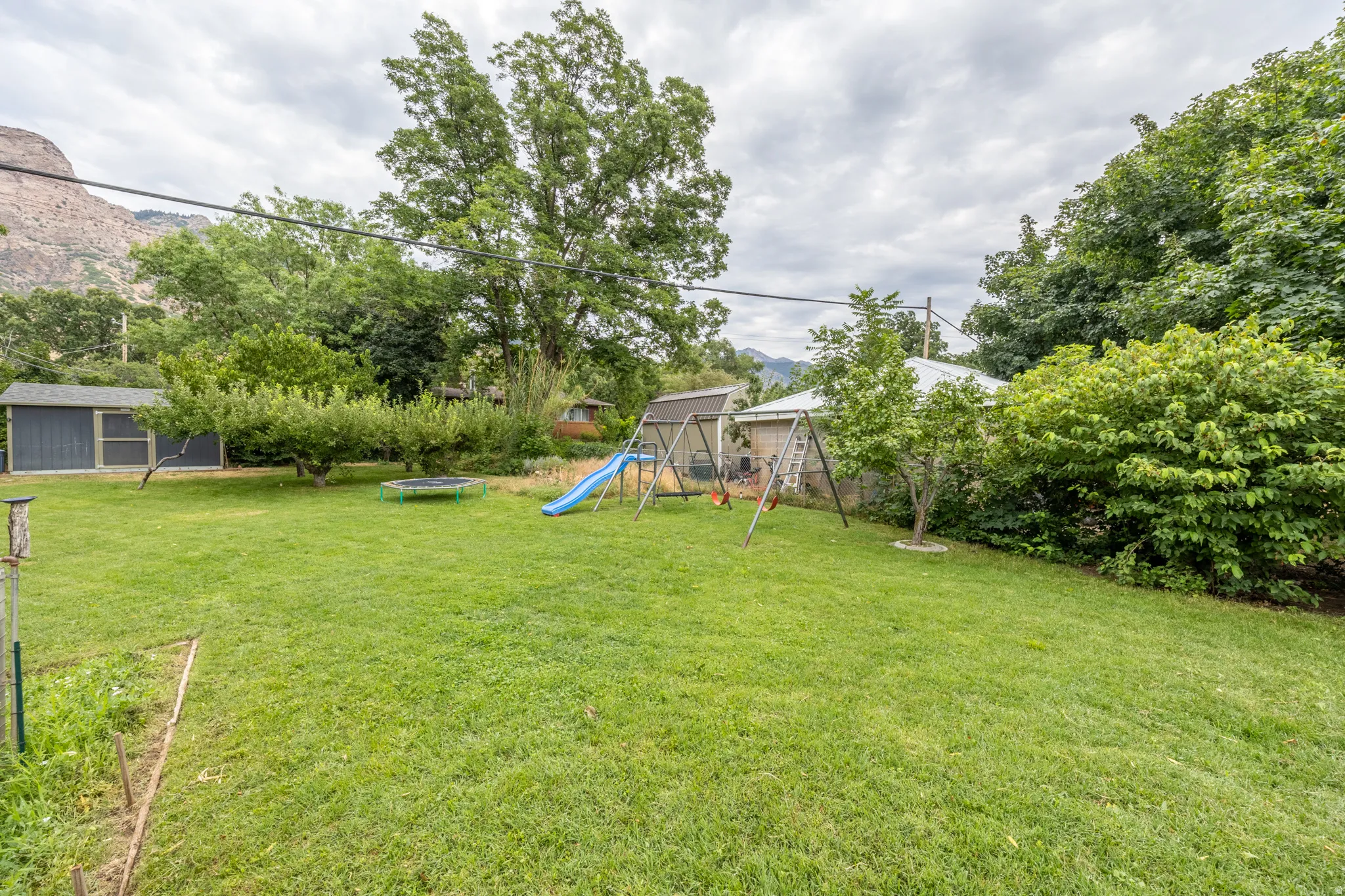 Spacious grassy yard with mature trees and a detached shed