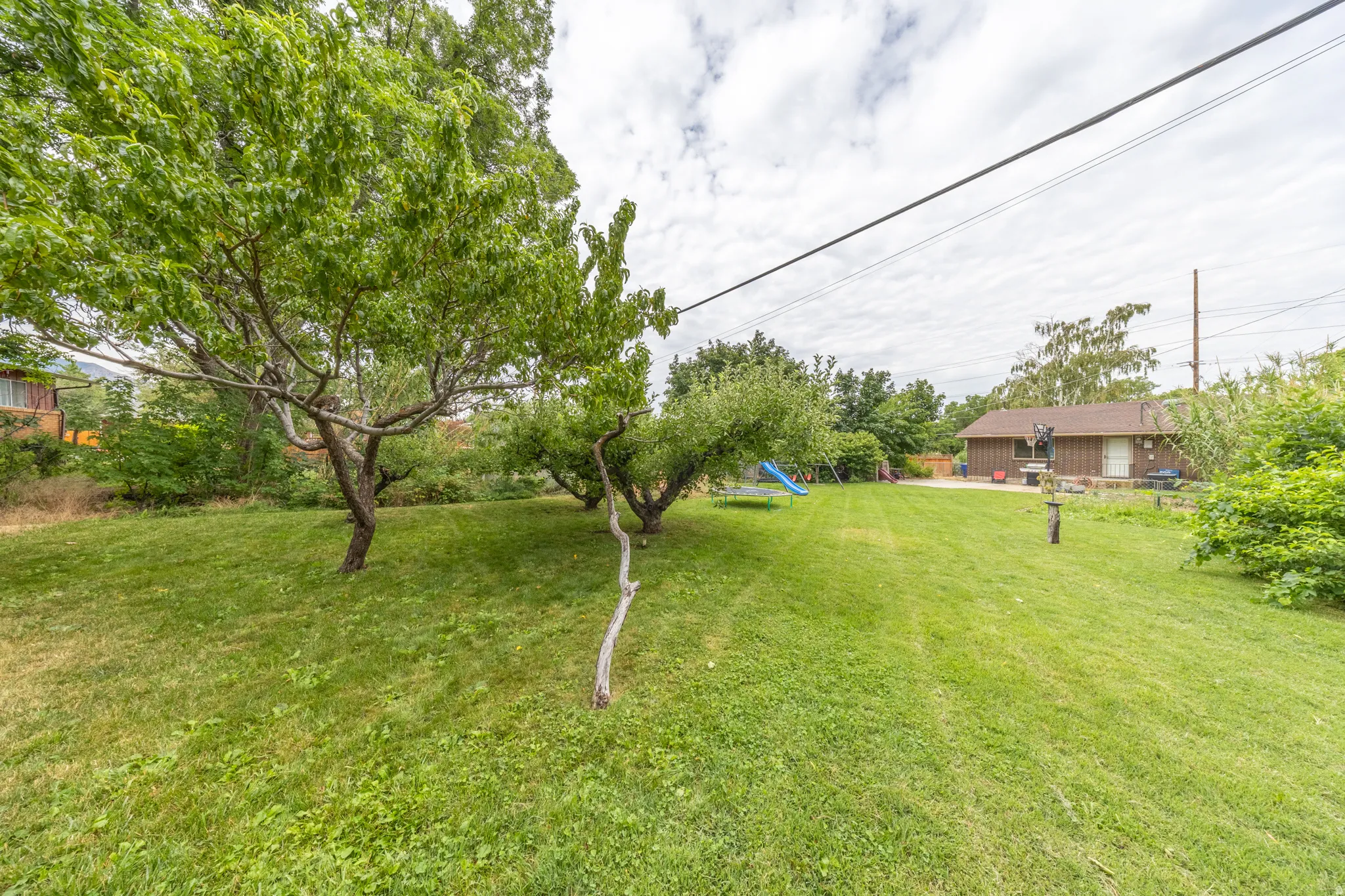 Expansive lawn area featuring multiple mature trees and a rear detached structure
