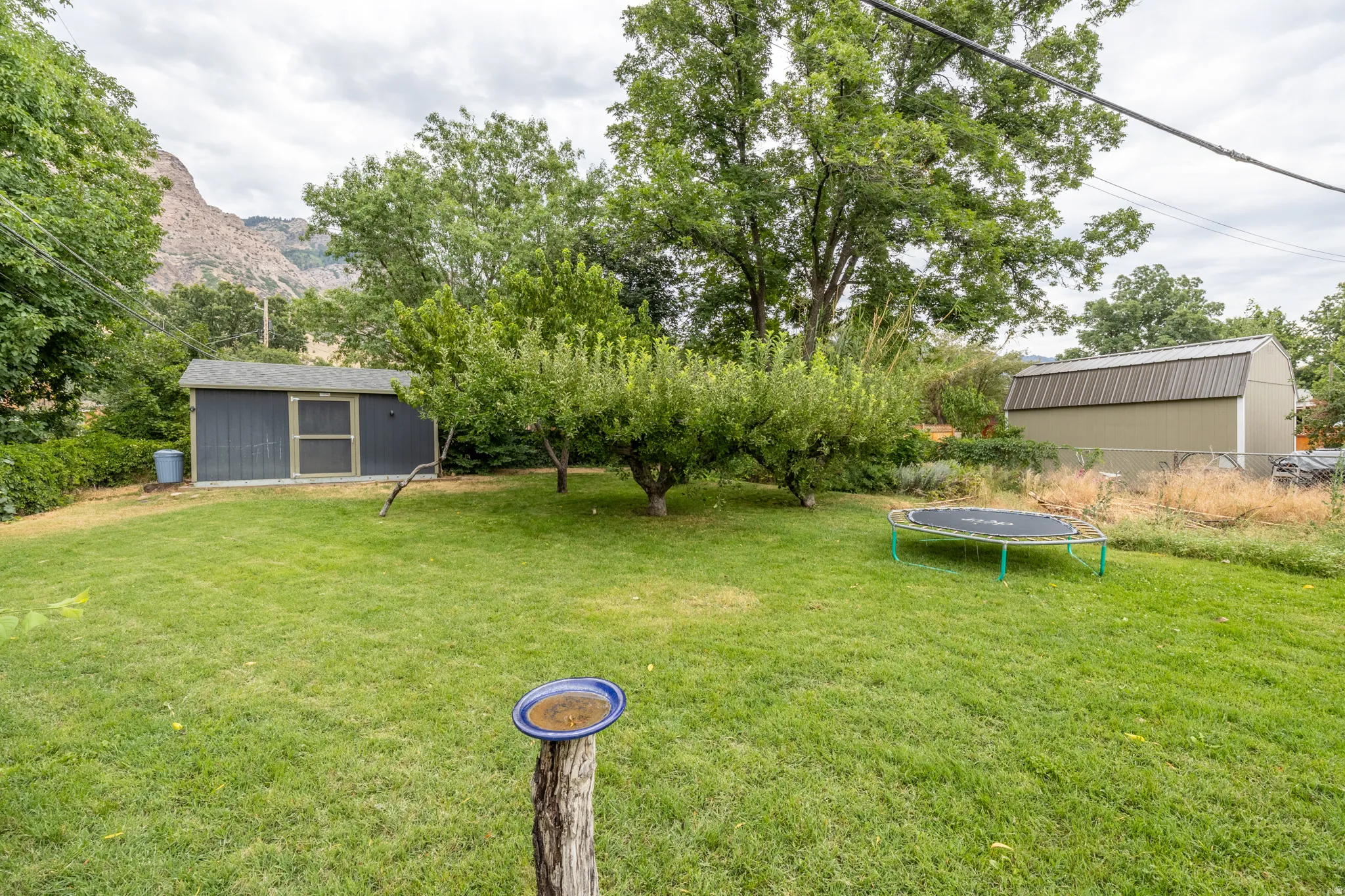 Spacious green lawn featuring mature trees and a distant mountainous backdrop