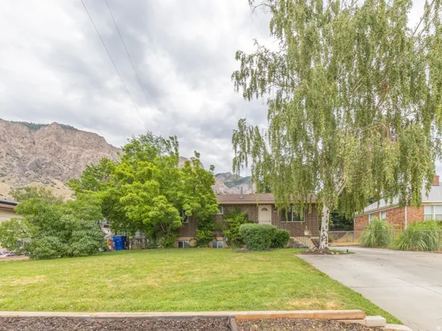Spacious front yard with mature trees, a long concrete driveway, and a detached garage featuring a white door