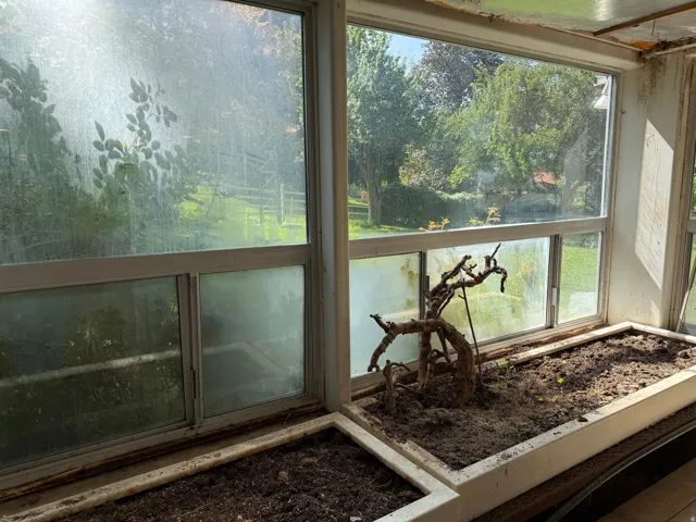 Greenhouse featuring multiple window panes, built-in planters with soil, and views of surrounding greenery