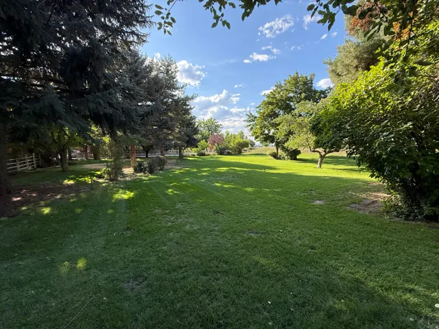 Expansive green lawn framed by mature trees, featuring a white perimeter fence and distant foliage under a blue sky