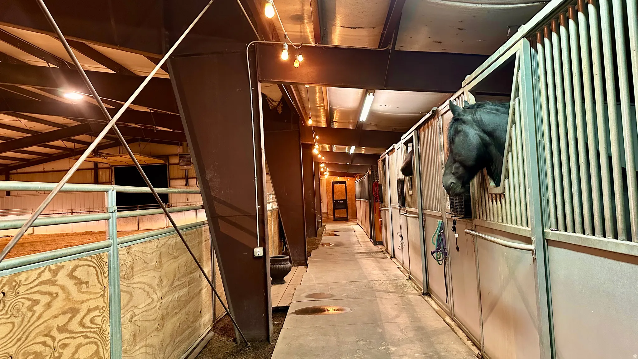 Spacious indoor riding arena with sand footing, multiple horse stalls with vertical metal bars, exposed structural beams, and overhead string lighting