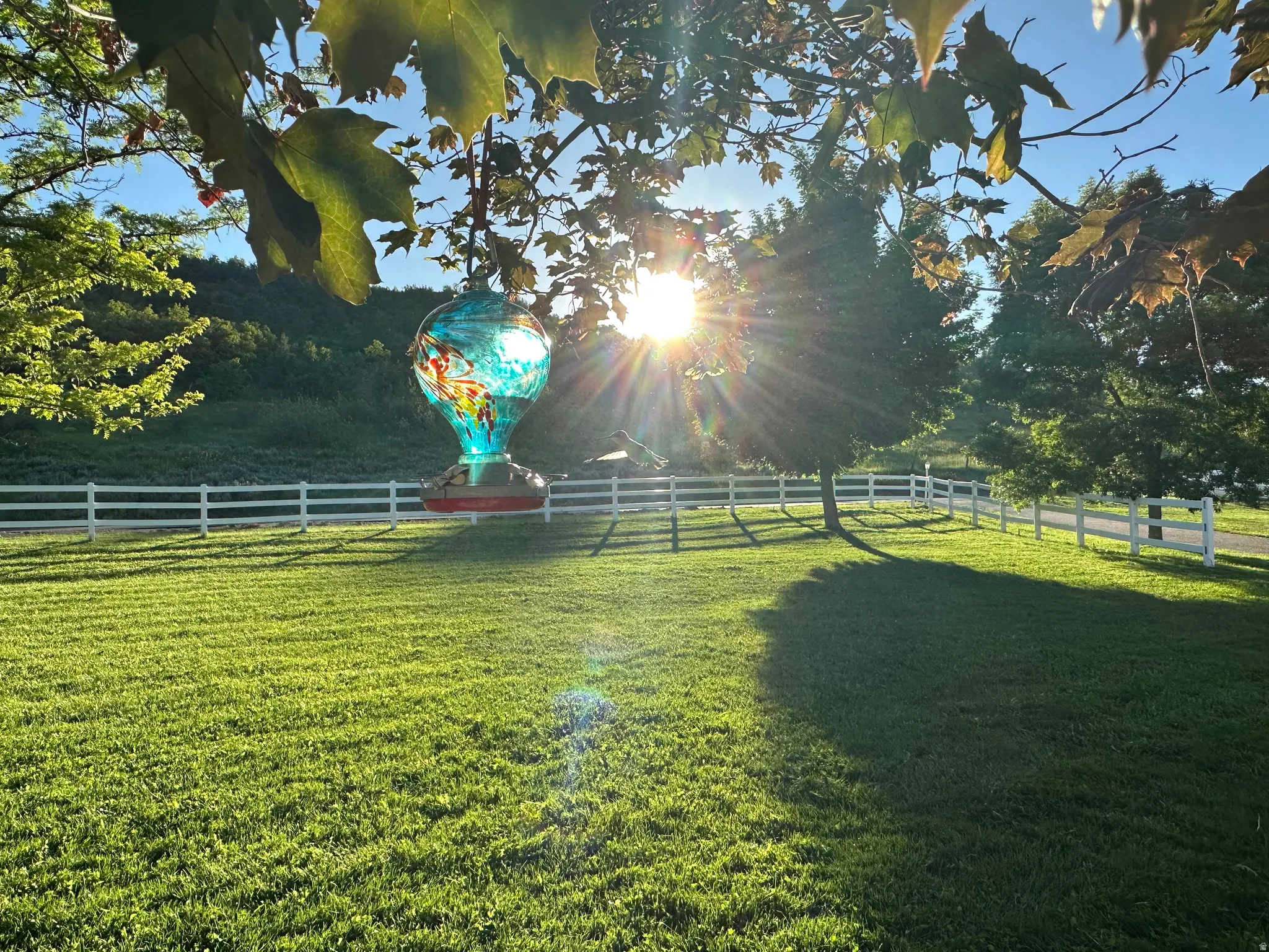Expansive green lawn surrounded by a white three-rail fence