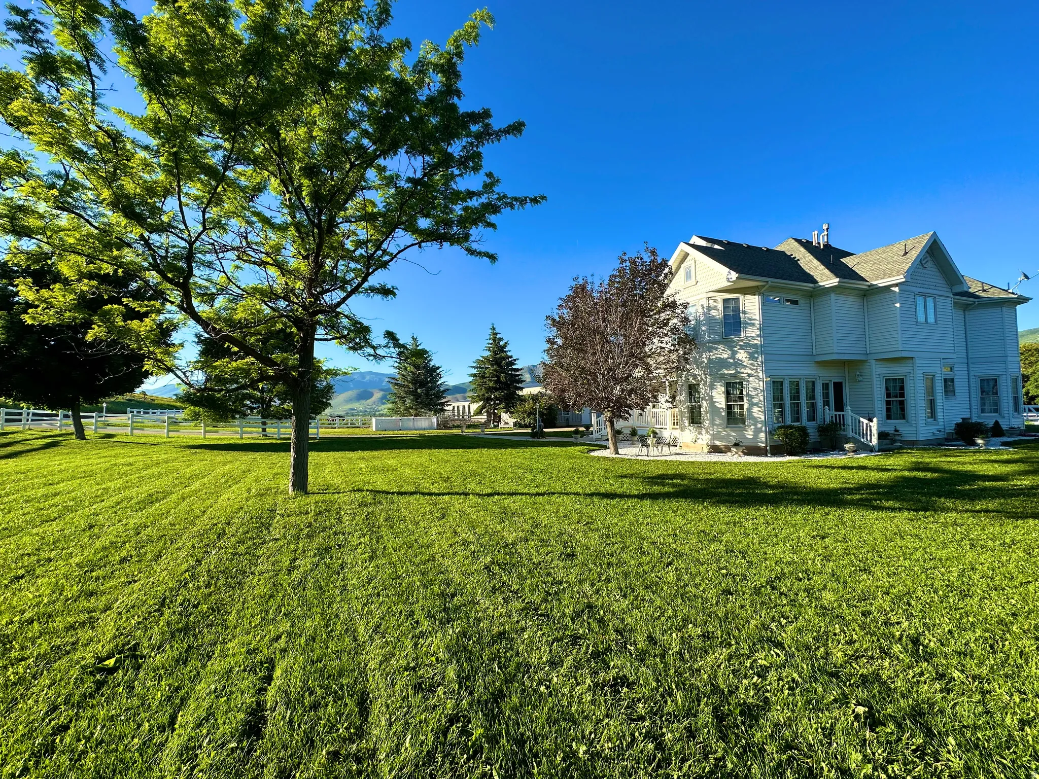 Expansive green lawn with mature trees and a white picket fence, framing a multi-story residence with light-colored siding and a gabled roofline