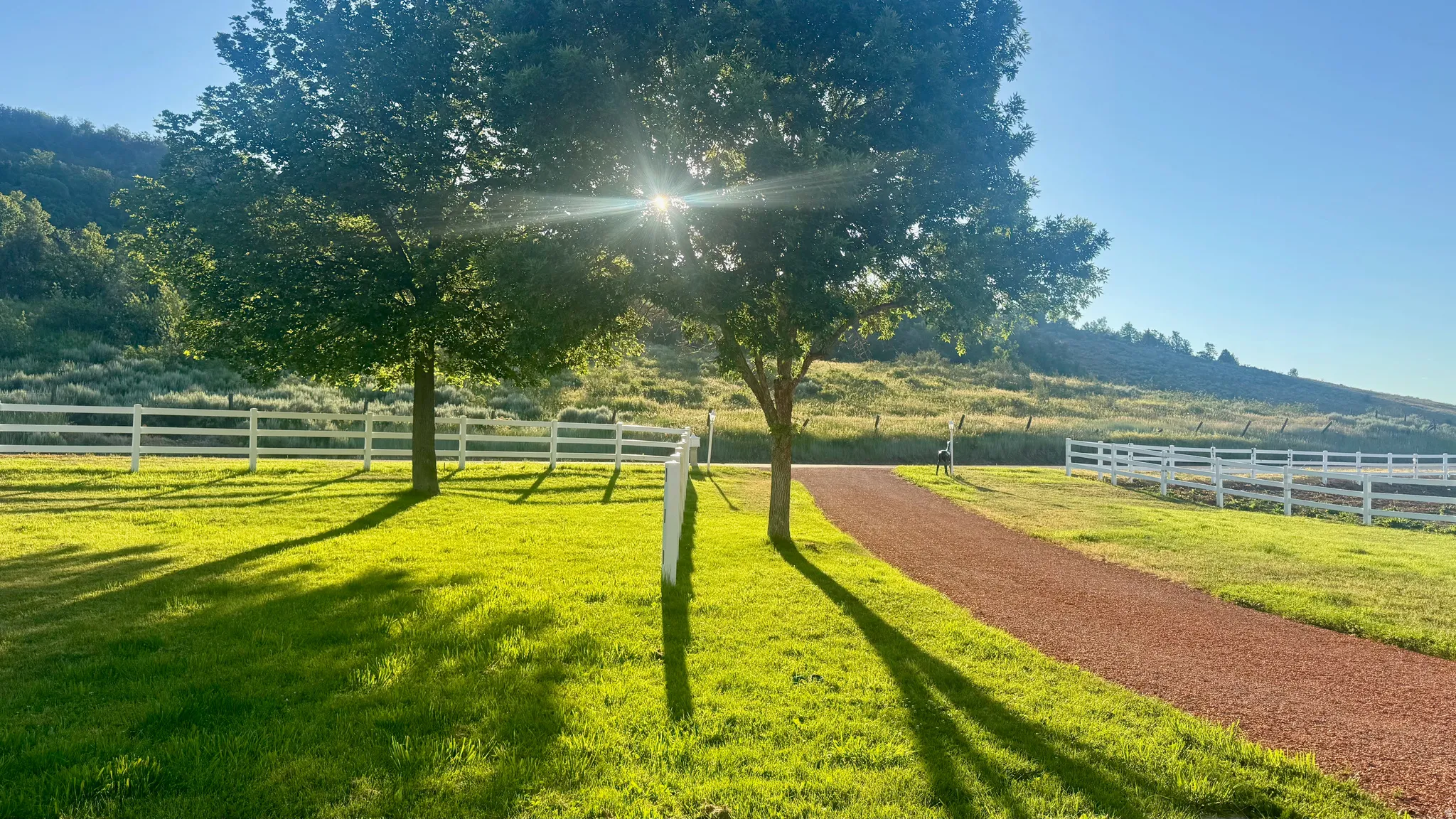 Expansive green lawn with mature trees and a white post-and-rail fence