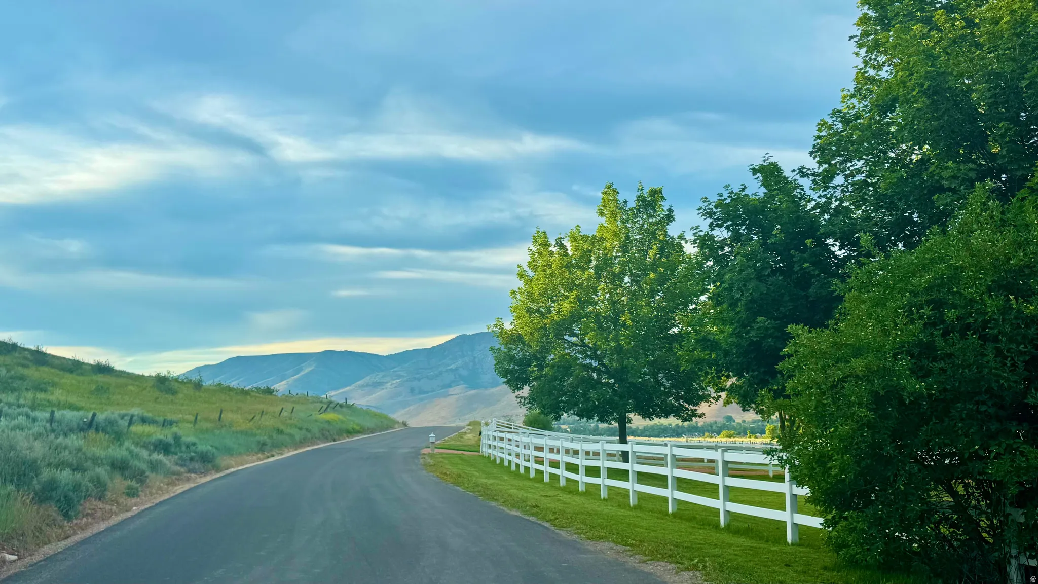 Paved road bordered by a white fence and mature trees