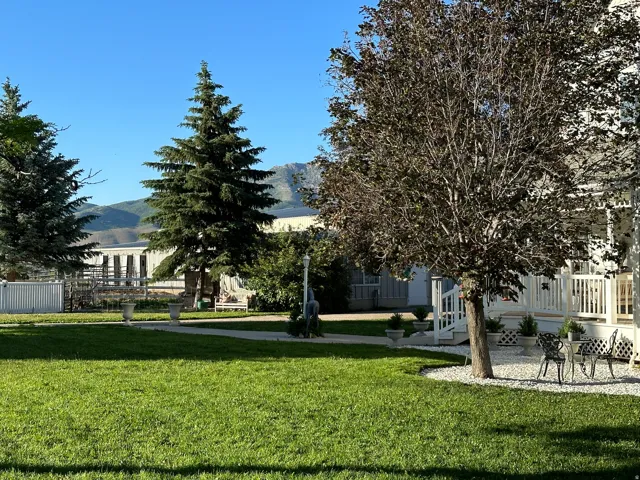 Expansive lawn area with mature trees and a paved walkway