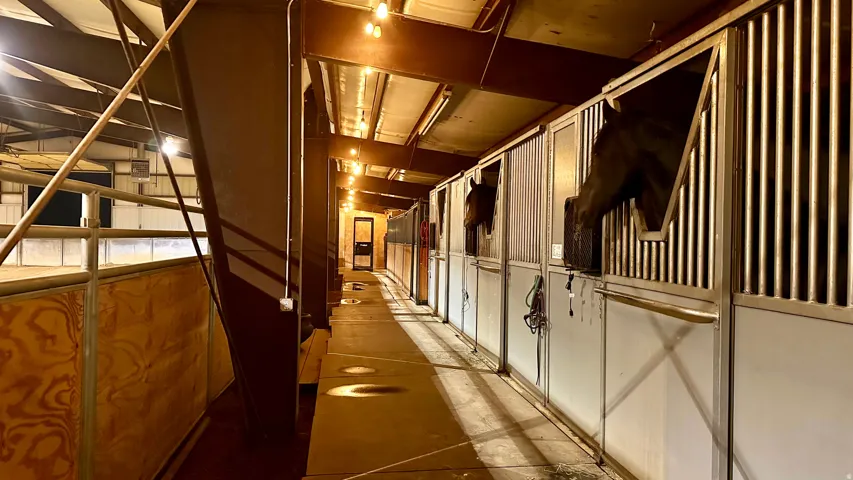Interior barn aisle featuring multiple stalls with metal bars and lower panels