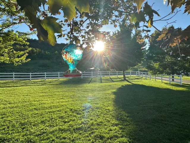 Expansive green lawn surrounded by a white three-rail fence