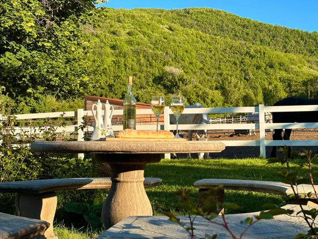 Outdoor stone table and benches, situated on a verdant lawn