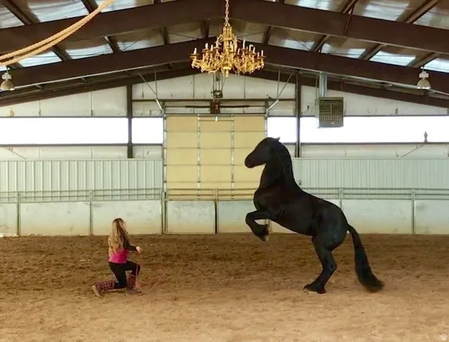 Spacious indoor arena featuring a sand riding surface, metal beam construction, and perimeter fencing