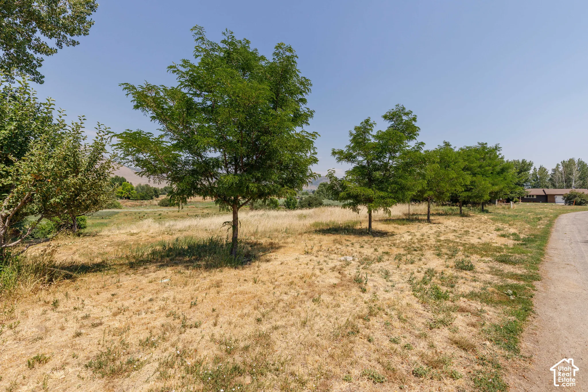 Fruit trees