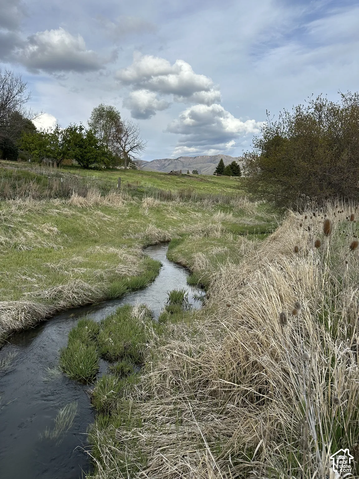 Winding stream traversing a grassy landscape with distant mountains