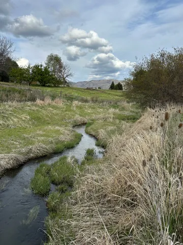 Winding stream traversing a grassy landscape with distant mountains