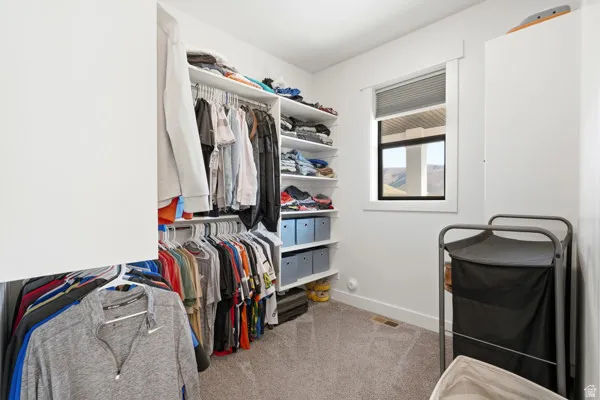 Walk-in closet featuring carpet flooring, built-in shelving, hanging rods, and a window with blinds